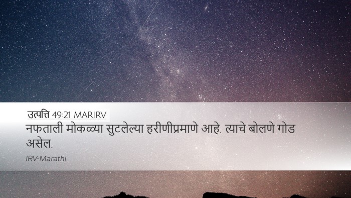 उत्पत्ति 49:21 MARIRV Bible Verse Image