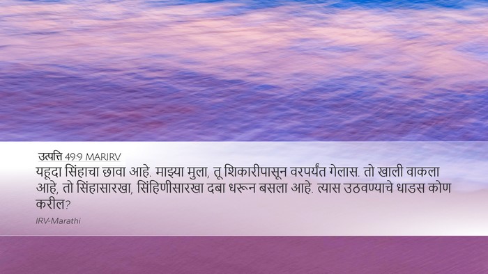 उत्पत्ति 49:9 MARIRV Bible Verse Image