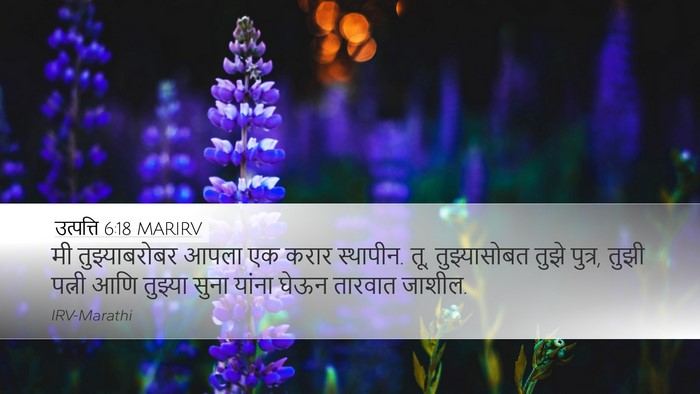 उत्पत्ति 6:18 MARIRV Bible Verse Image