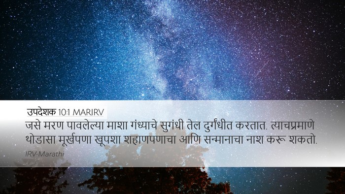 उपदेशक 10:1 MARIRV Bible Verse Image