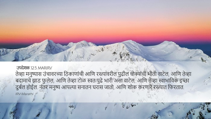 उपदेशक 12:5 MARIRV Bible Verse Image