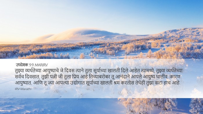 उपदेशक 9:9 MARIRV Bible Verse Image