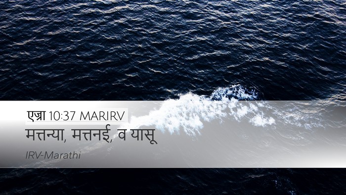 एज्रा 10:37 MARIRV Desktop Wallpaper - मत्तन्या, मत्तनई, व - Desktop Bible Verse Wallpaper