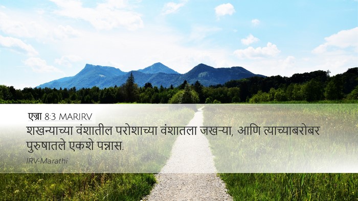 एज्रा 8:3 MARIRV Desktop Wallpaper - शखन्याच्या - Desktop Bible Verse Wallpaper