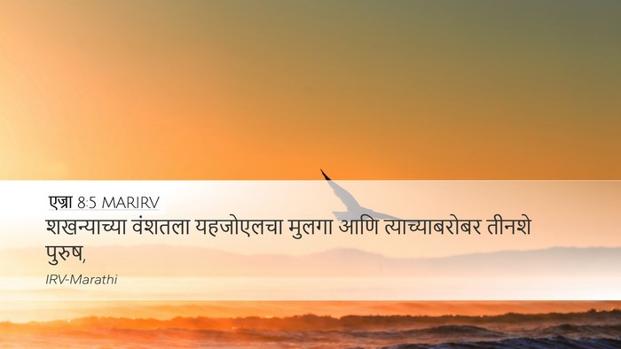 एज्रा 8:5 MARIRV Desktop Wallpaper - शखन्याच्या वंशतला - Desktop Bible Verse Wallpaper