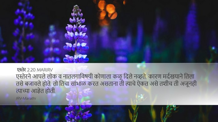 एस्तेर 2:20 MARIRV Bible Verse Image
