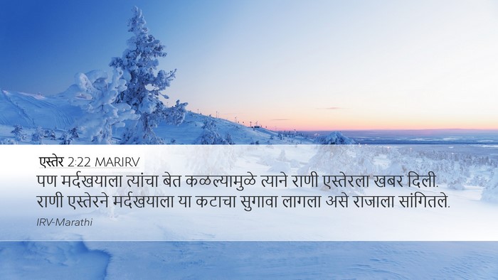 एस्तेर 2:22 MARIRV Desktop Wallpaper - पण मर्दखयाला - Desktop Bible Verse Wallpaper