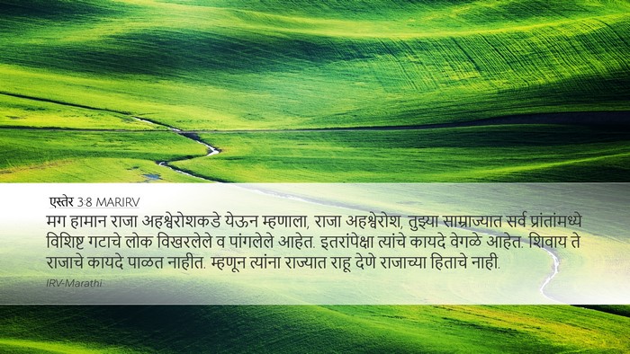 एस्तेर 3:8 MARIRV Bible Verse Image