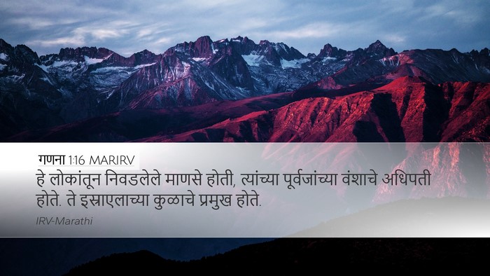 गणना 1:16 MARIRV Bible Verse Image