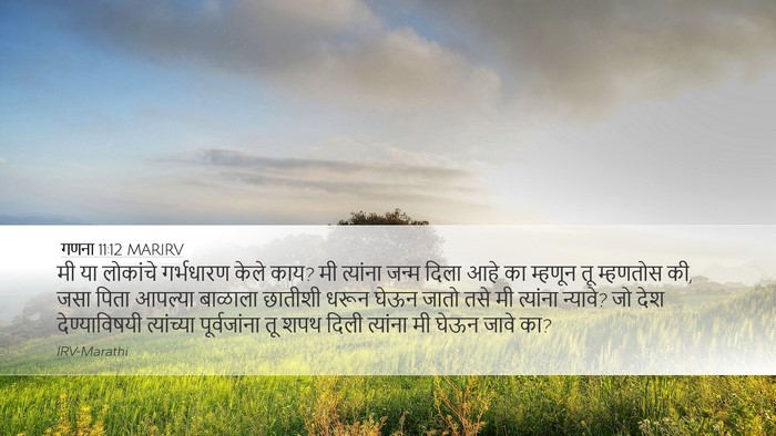 गणना 11:12 MARIRV Desktop Wallpaper - मी या लोकांचे - Desktop Bible Verse Wallpaper