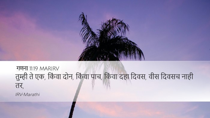 गणना 11:19 MARIRV Desktop Wallpaper - तुम्ही ते एक, किंवा - Desktop Bible Verse Wallpaper