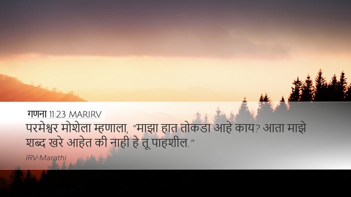 गणना 11:23 MARIRV Desktop Wallpaper - परमेश्वर मोशेला - Desktop Bible Verse Wallpaper
