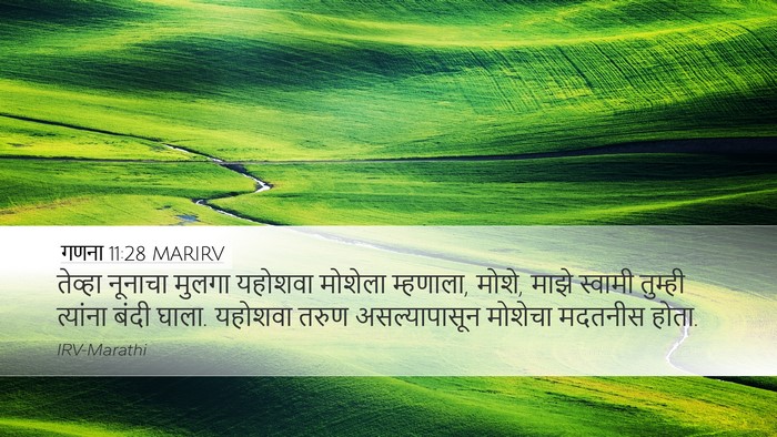 गणना 11:28 MARIRV Bible Verse Image