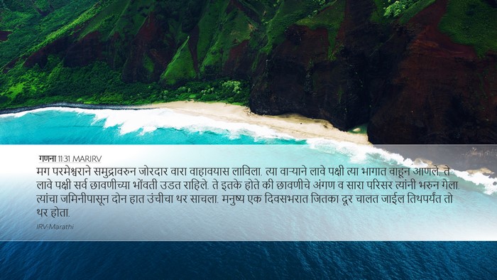 गणना 11:31 MARIRV Bible Verse Image