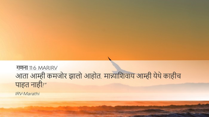 गणना 11:6 MARIRV Bible Verse Image