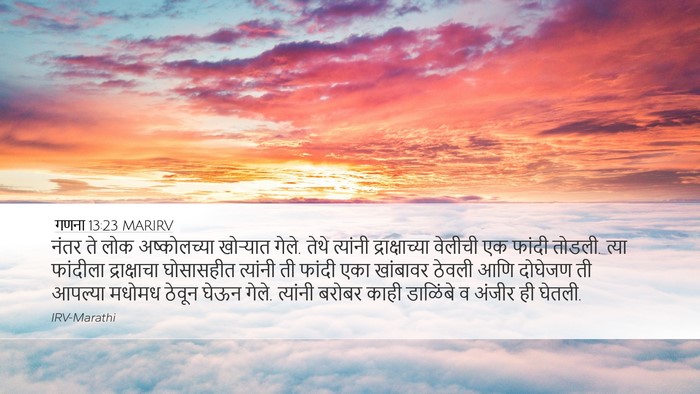 गणना 13:23 MARIRV Bible Verse Image