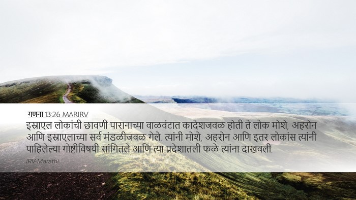 गणना 13:26 MARIRV Bible Verse Image