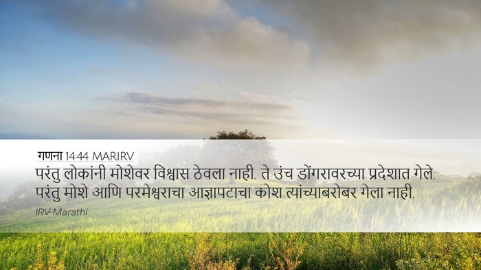 गणना 14:44 MARIRV Bible Verse Image