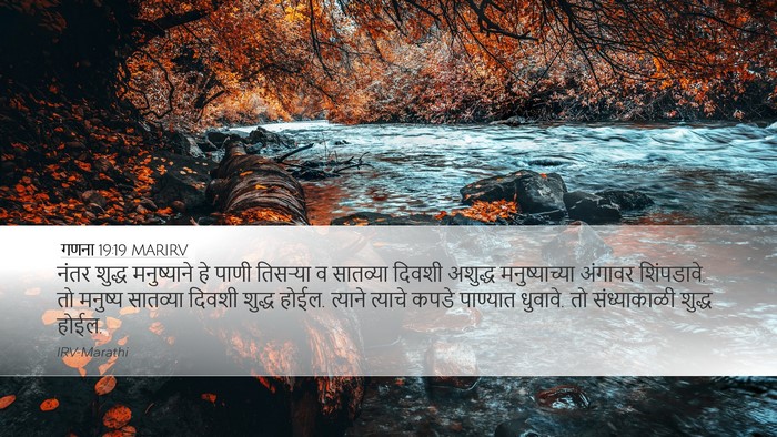 गणना 19:19 MARIRV Bible Verse Image
