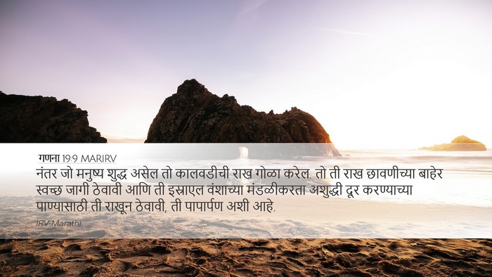 गणना 19:9 MARIRV Bible Verse Image