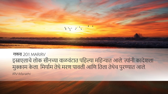 गणना 20:1 MARIRV Bible Verse Image