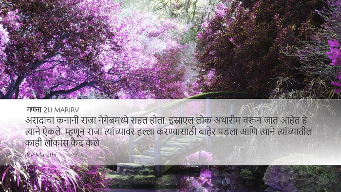 गणना 21:1 MARIRV Bible Verse Image