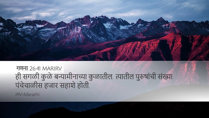 गणना 26:41 MARIRV Bible Verse Image