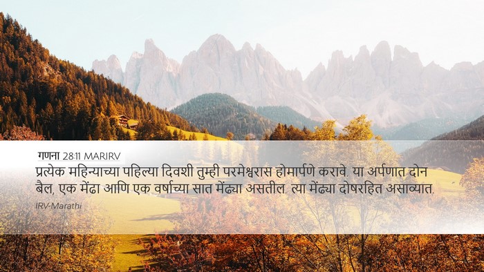 गणना 28:11 MARIRV Bible Verse Image