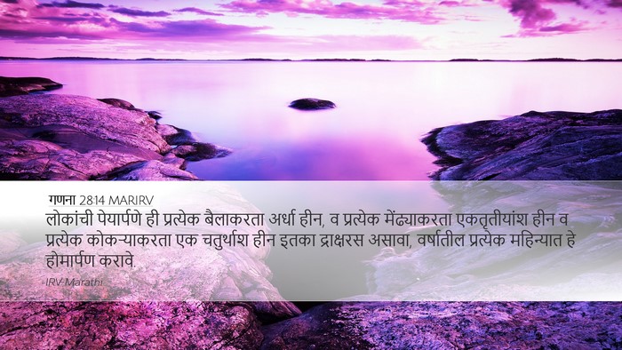 गणना 28:14 MARIRV Bible Verse Image