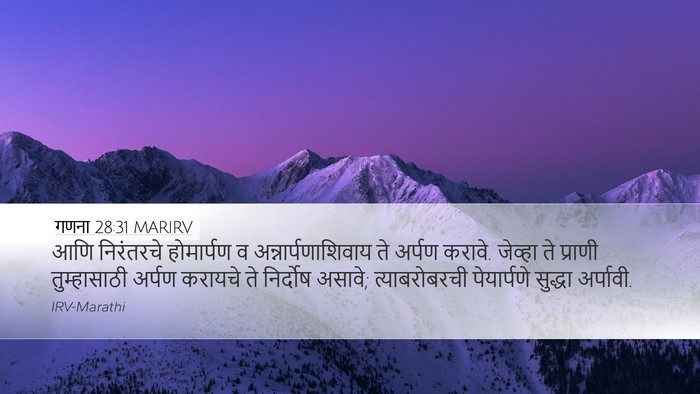 गणना 28:31 MARIRV Bible Verse Image