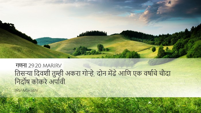 गणना 29:20 MARIRV Bible Verse Image
