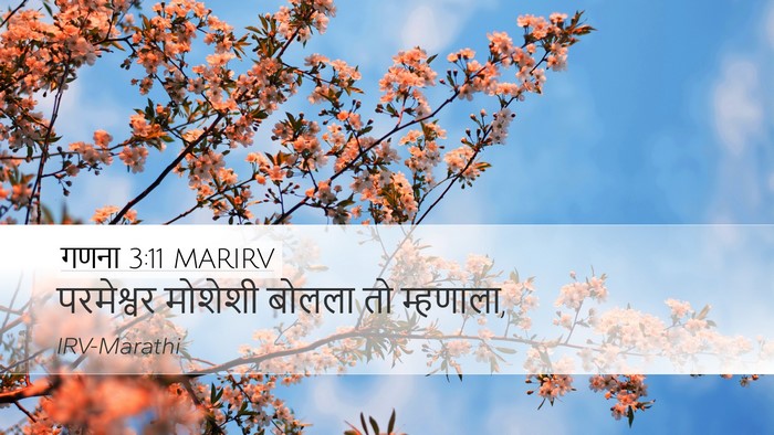 गणना 3:11 MARIRV Desktop Wallpaper - परमेश्वर मोशेशी - Desktop Bible Verse Wallpaper