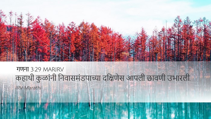 गणना 3:29 MARIRV Bible Verse Image