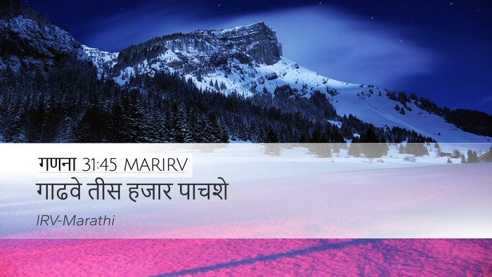 गणना 31:45 MARIRV Desktop Wallpaper - गाढवे तीस हजार - Desktop Bible Verse Wallpaper