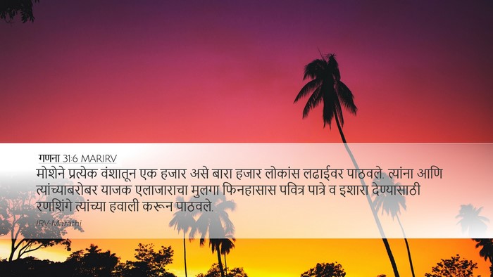 गणना 31:6 MARIRV Bible Verse Image
