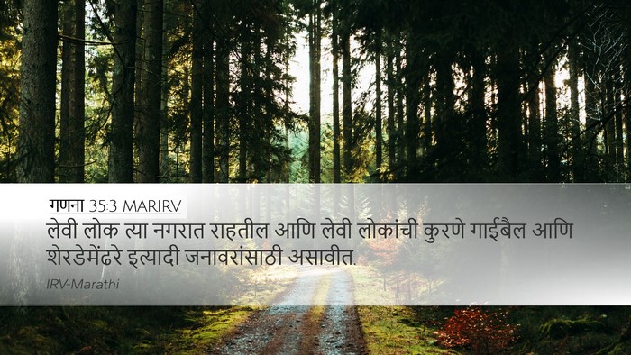 गणना 35:3 MARIRV Desktop Wallpaper - लेवी लोक त्या - Desktop Bible Verse Wallpaper