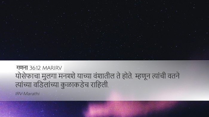 गणना 36:12 MARIRV Bible Verse Image