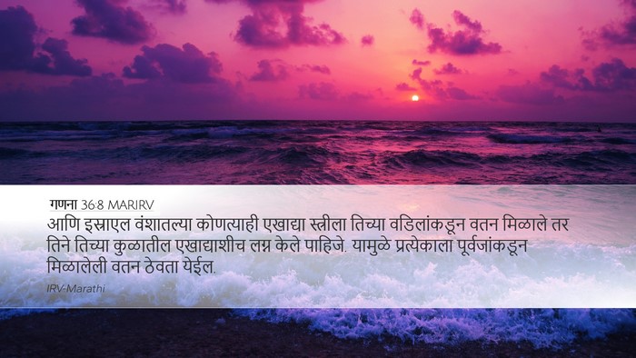 गणना 36:8 MARIRV Bible Verse Image