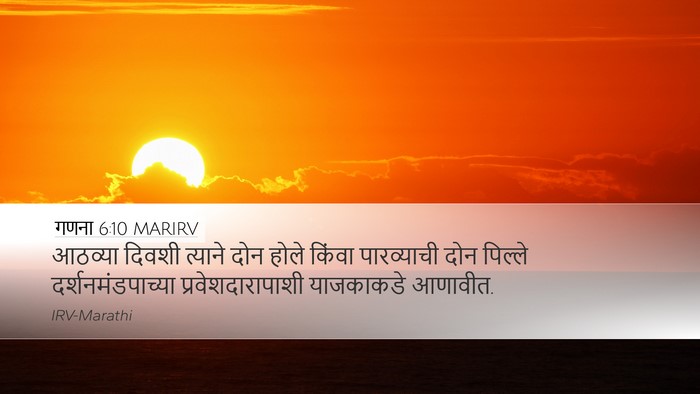 गणना 6:10 MARIRV Bible Verse Image