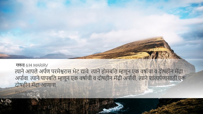 गणना 6:14 MARIRV Bible Verse Image