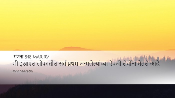 गणना 8:18 MARIRV Bible Verse Image