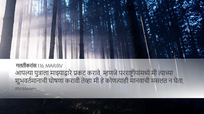 गलतीकरांस 1:16 MARIRV Bible Verse Image