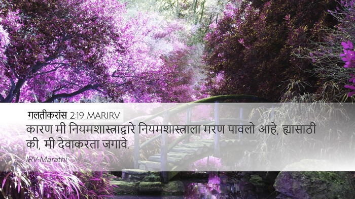 गलतीकरांस 2:19 MARIRV Bible Verse Image