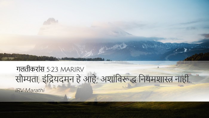 गलतीकरांस 5:23 MARIRV Bible Verse Image