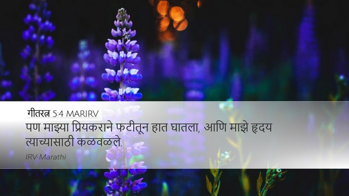गीतरत्न 5:4 MARIRV Desktop Wallpaper - पण माझ्या - Desktop Bible Verse Wallpaper