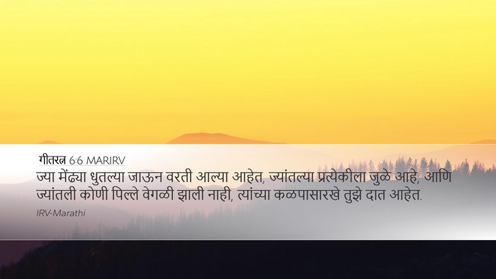 गीतरत्न 6:6 MARIRV Bible Verse Image