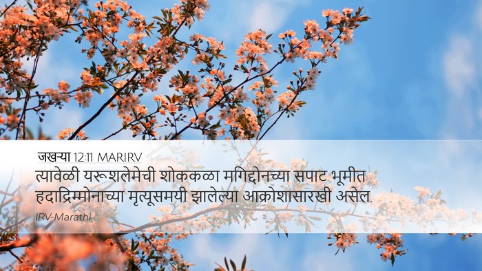 जखऱ्या 12:11 MARIRV Bible Verse Image