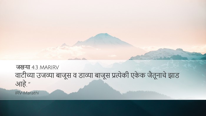 जखऱ्या 4:3 MARIRV Desktop Wallpaper - वाटीच्या उजव्या - Desktop Bible Verse Wallpaper