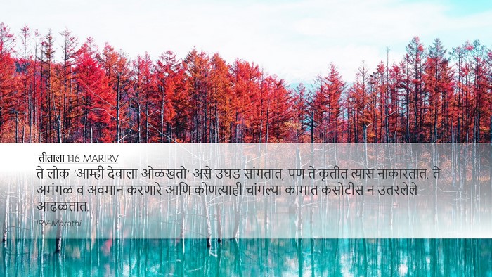 तीताला 1:16 MARIRV Bible Verse Image
