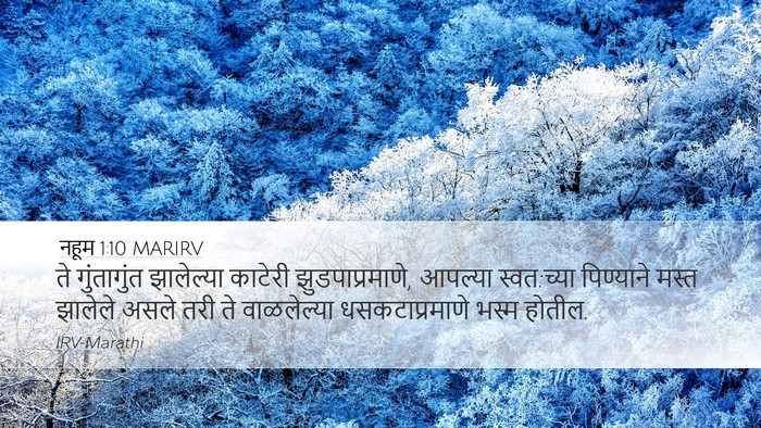 नहूम 1:10 MARIRV Bible Verse Image